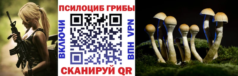 Галлюциногенные грибы Cubensis  Купить закладки  Елабуга 