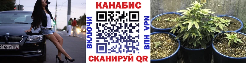 Шишки марихуана сатива  Купить  Елабуга 